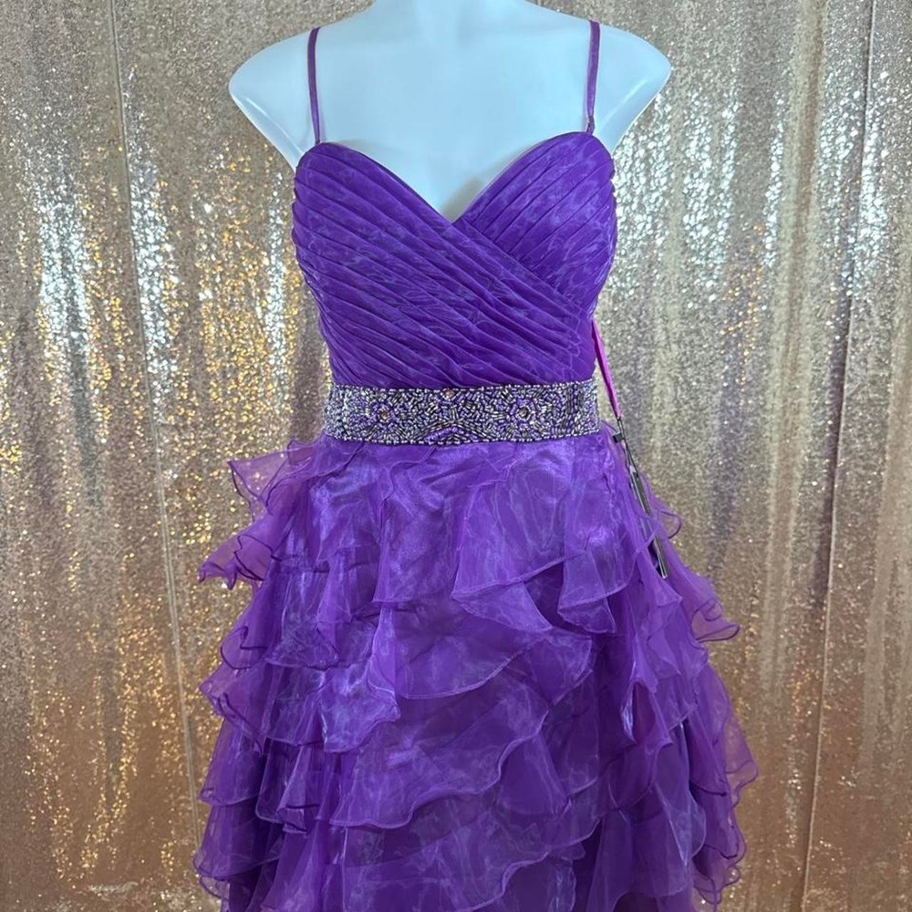 NWT Poly USA Purple Tiered Ruffle Homecoming Dress/Size 2XL
